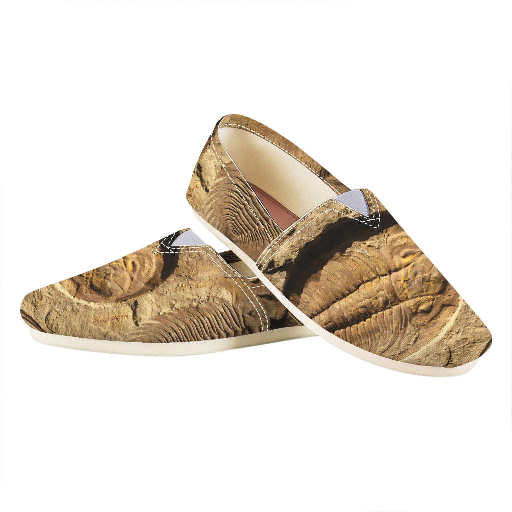Trilobite Fossil Print Casual Shoes