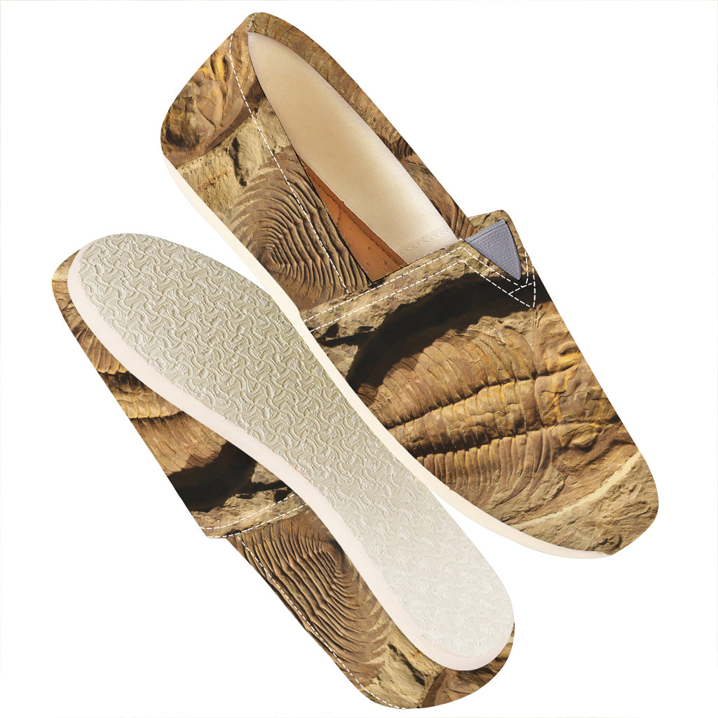 Trilobite Fossil Print Casual Shoes