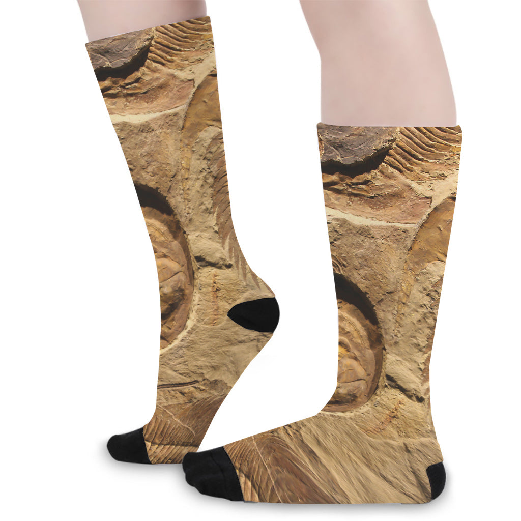 Trilobite Fossil Print Long Socks