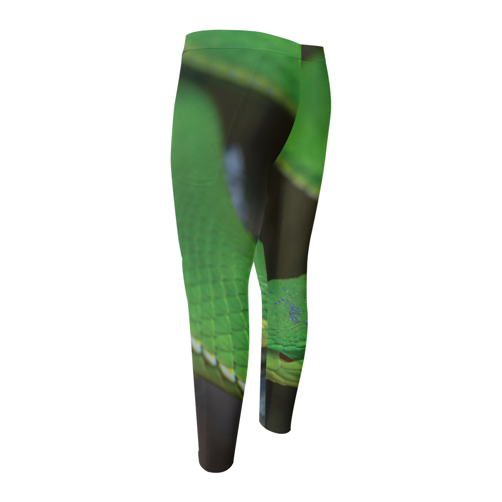 Trimeresurus Albolabris Snake Print Men's Compression Pants