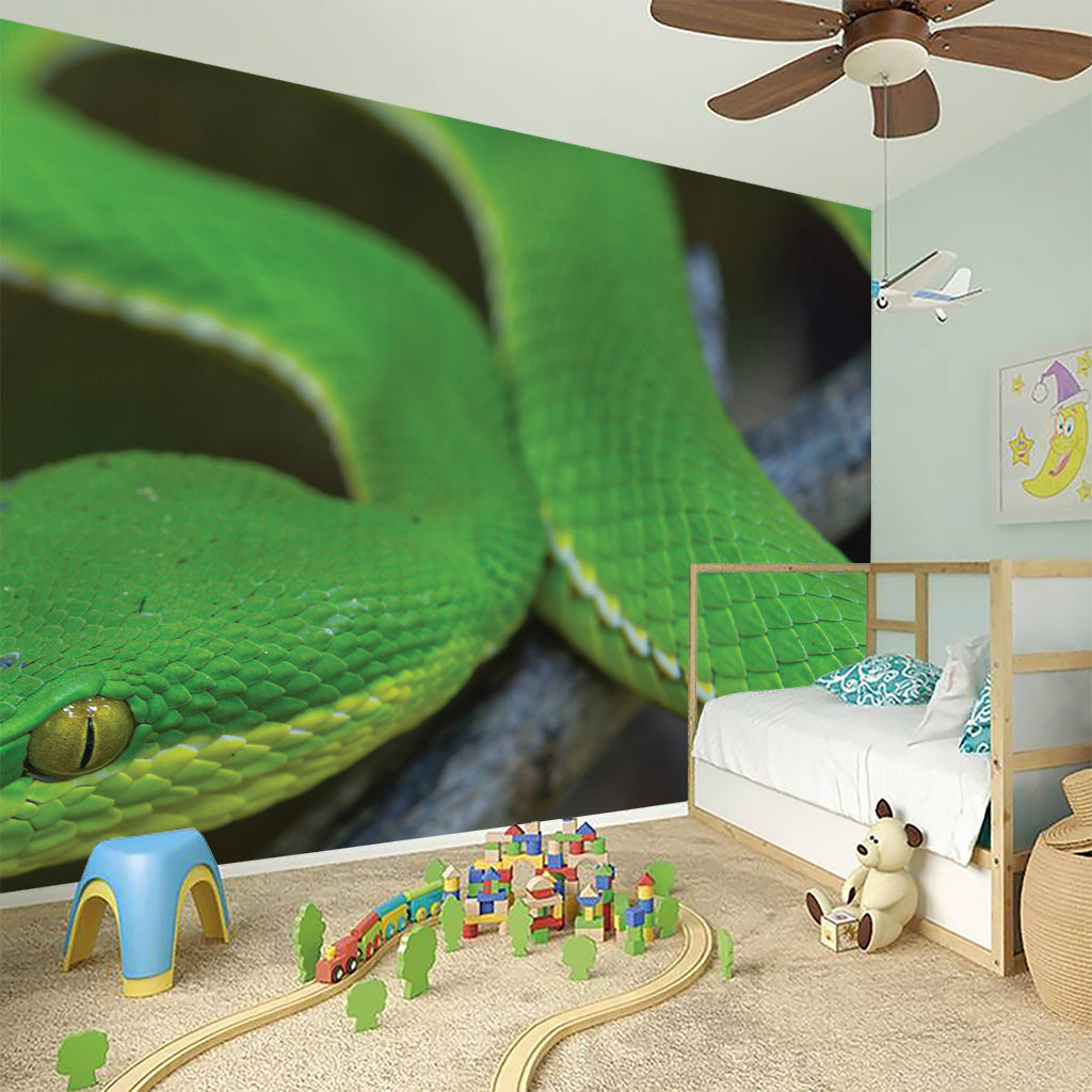 Trimeresurus Albolabris Snake Print Wall Sticker
