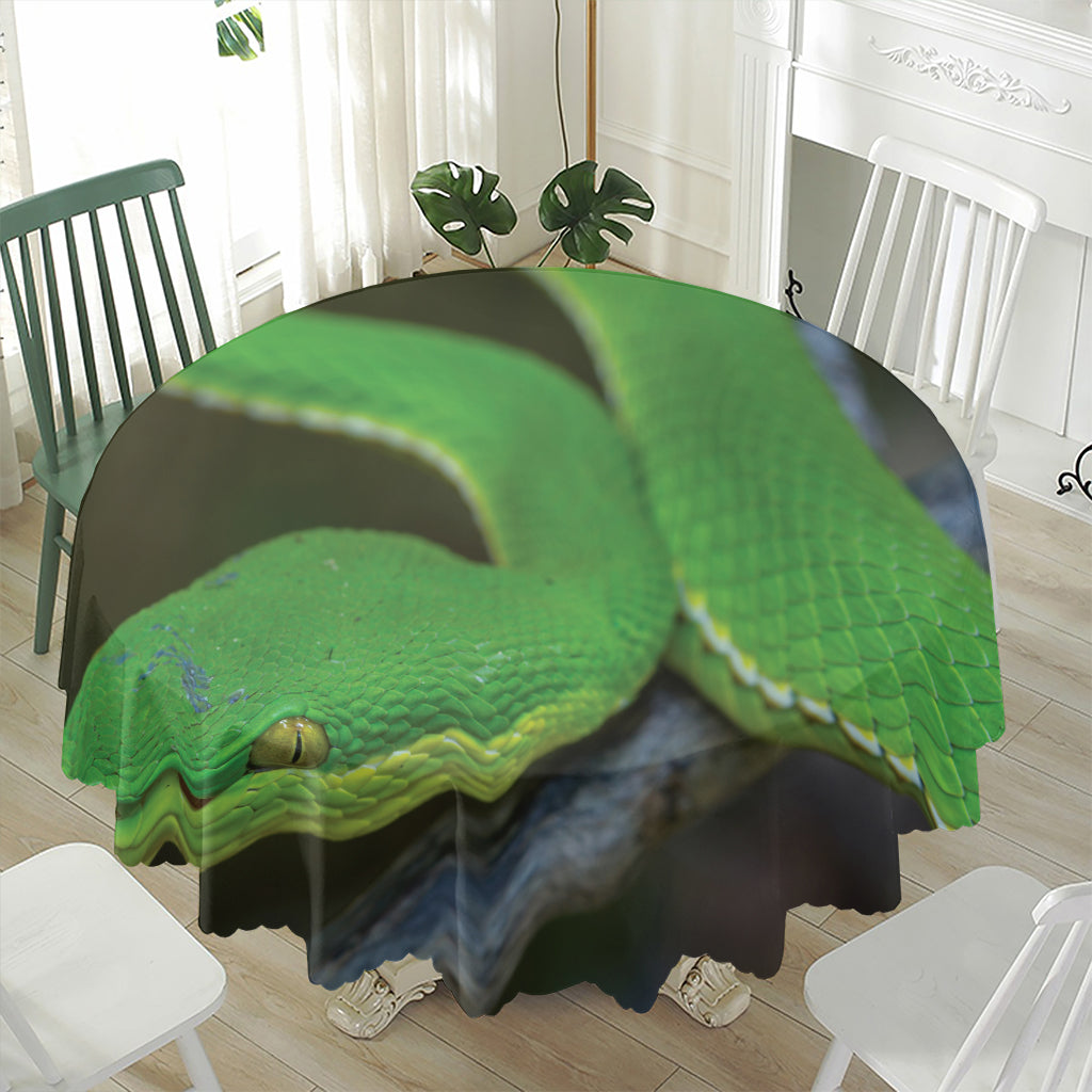 Trimeresurus Albolabris Snake Print Waterproof Round Tablecloth
