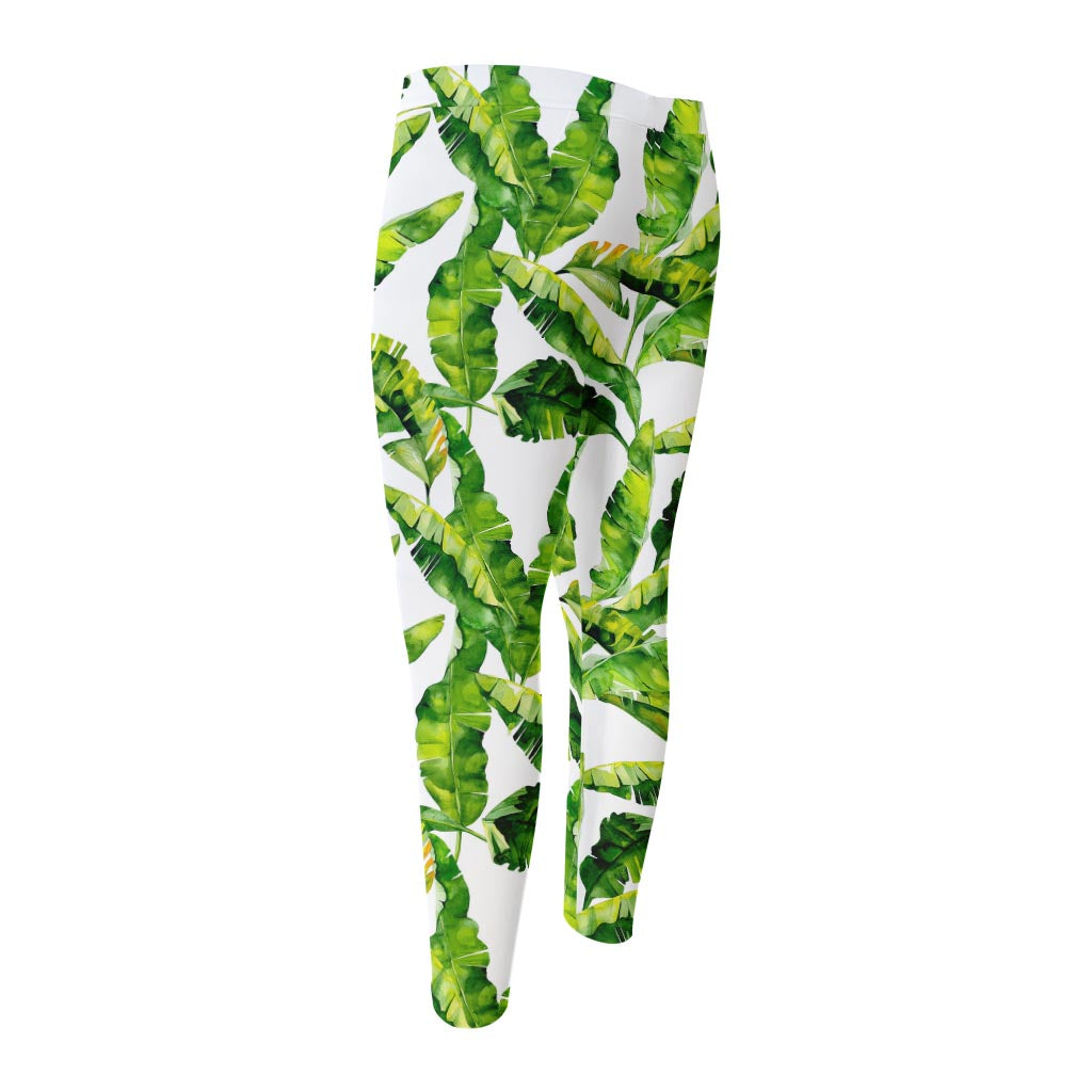 Tropical Banana Leaves Pattern Print Men's Compression Pants