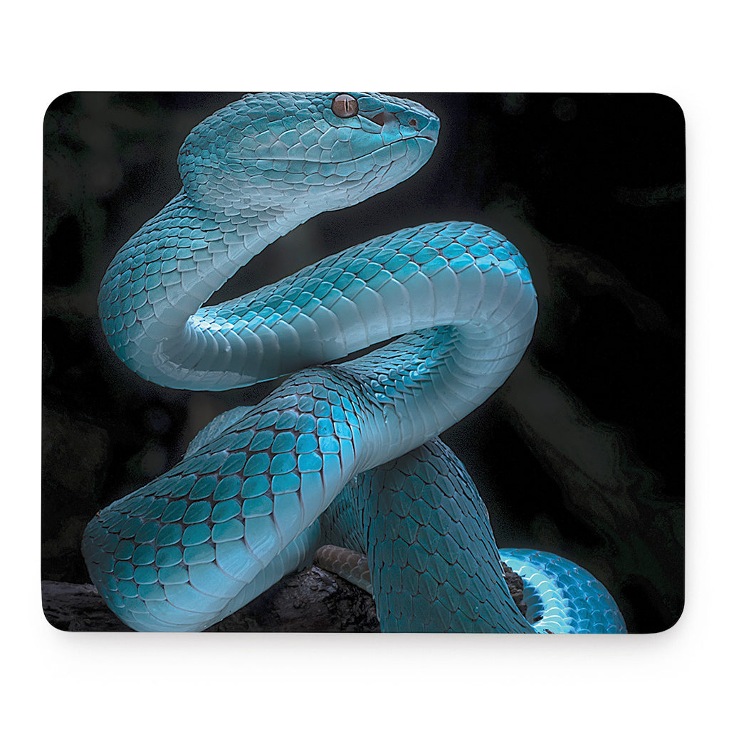 Turquoise Snake Print Mouse Pad