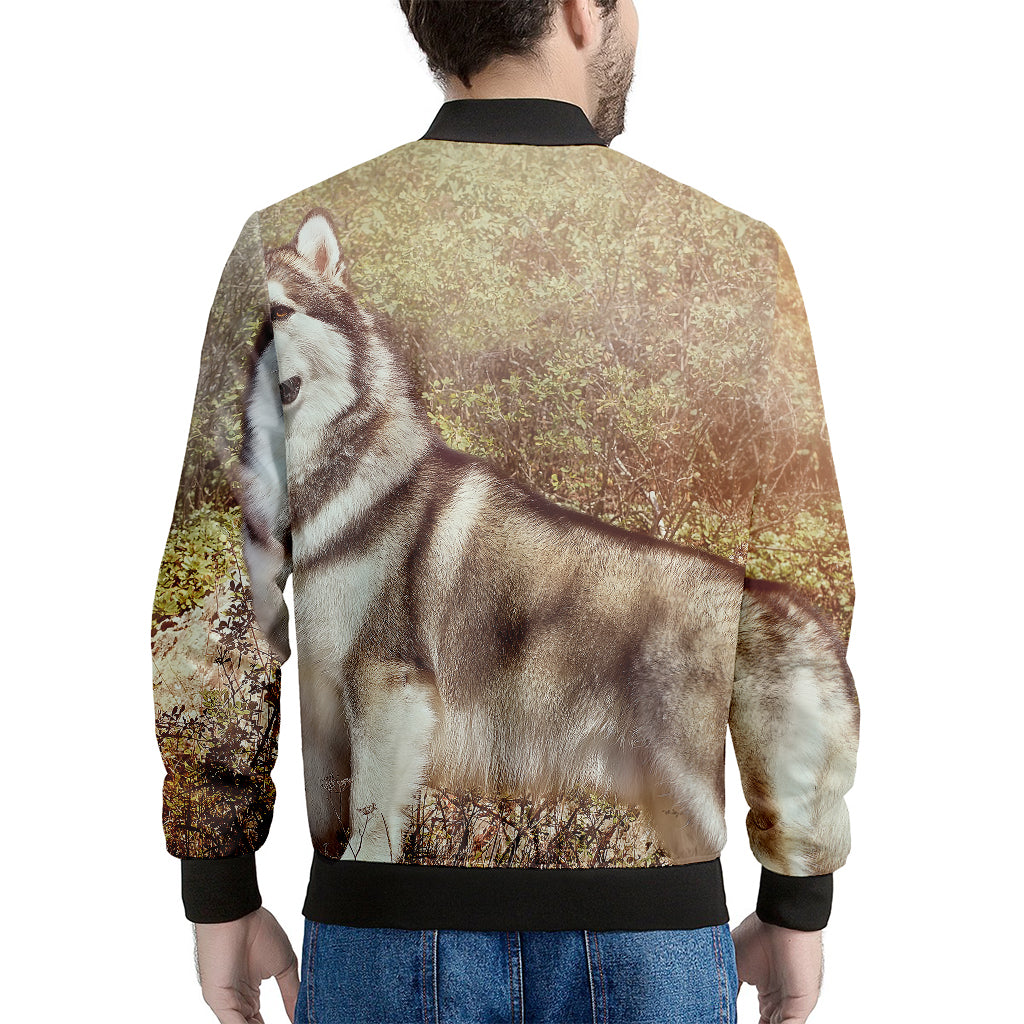 Vintage Alaskan Malamute Print Men's Bomber Jacket