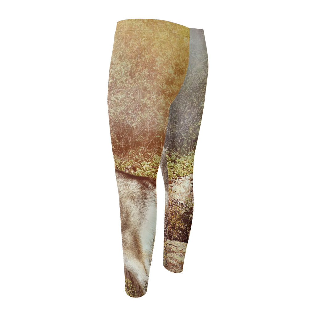 Vintage Alaskan Malamute Print Men's Compression Pants