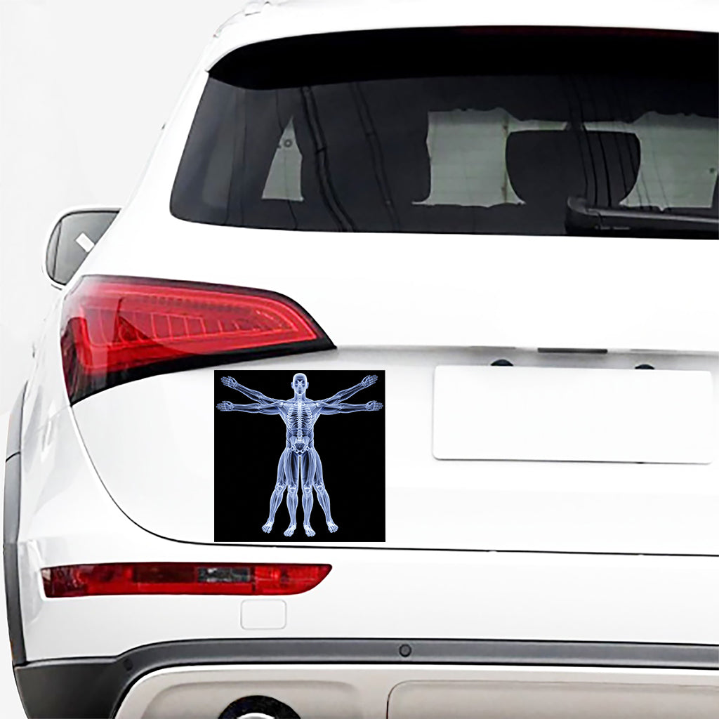 Vitruvian Man X-Ray Print Car Sticker