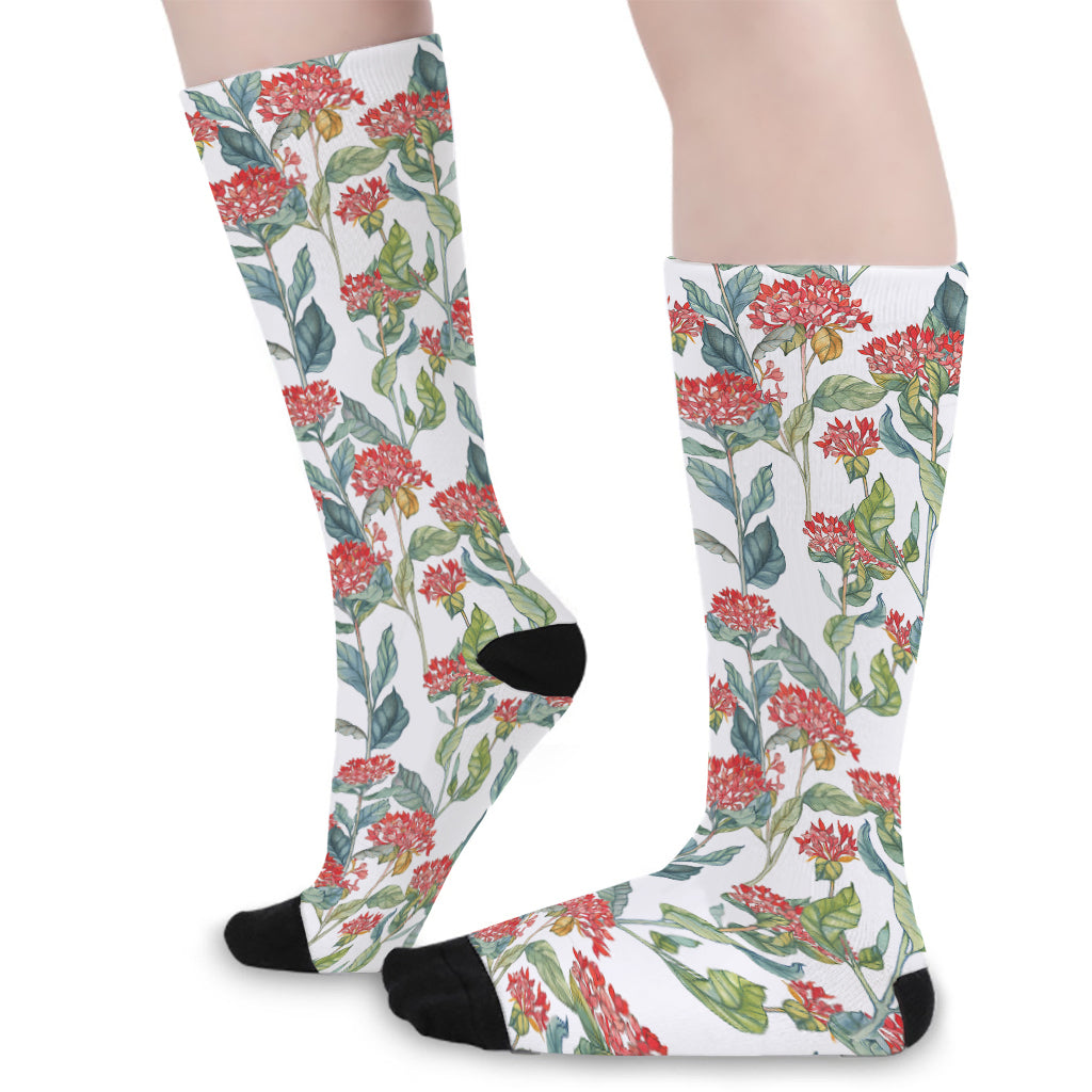 Watercolor Bouvardia Print Long Socks