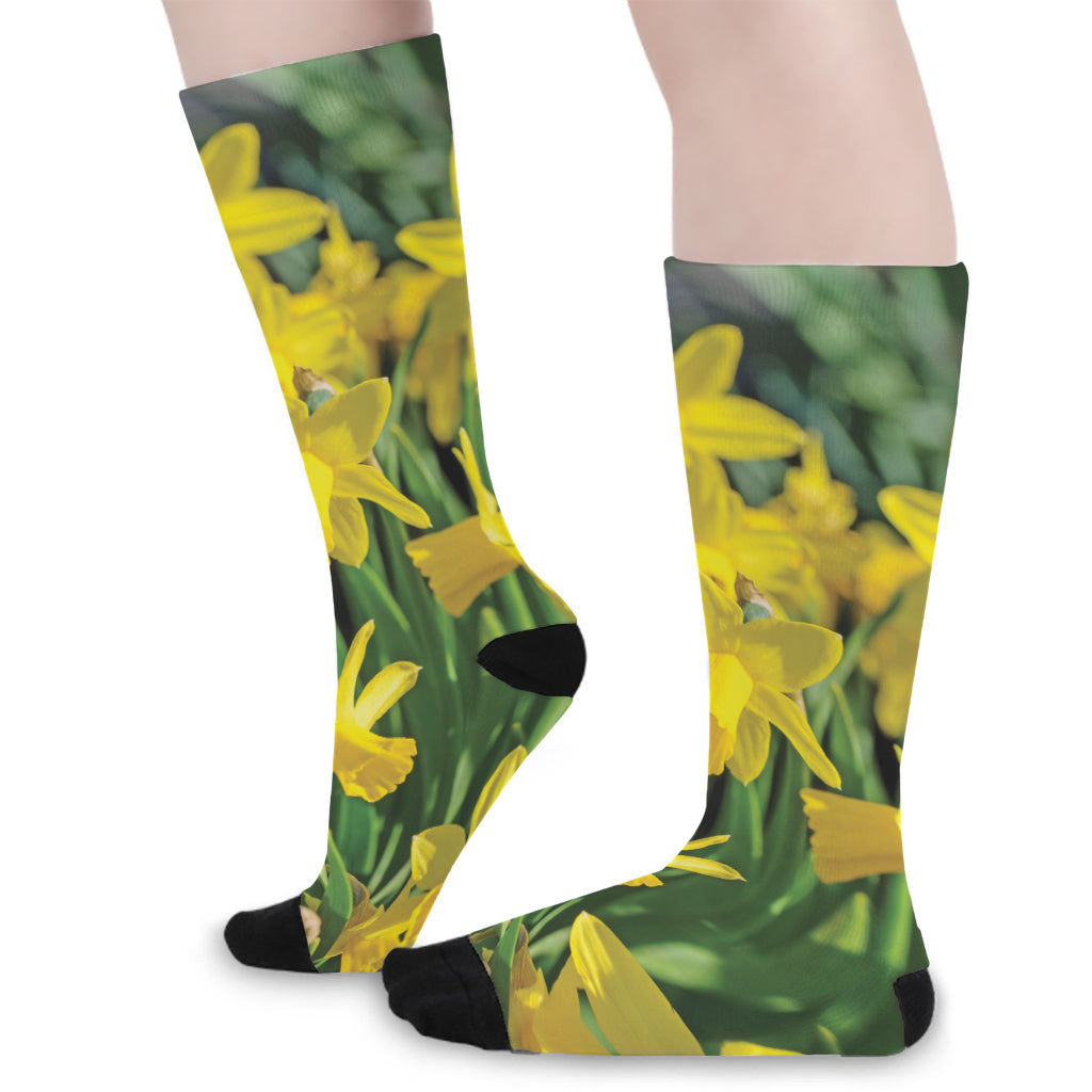 Yellow Daffodil Flower Print Long Socks