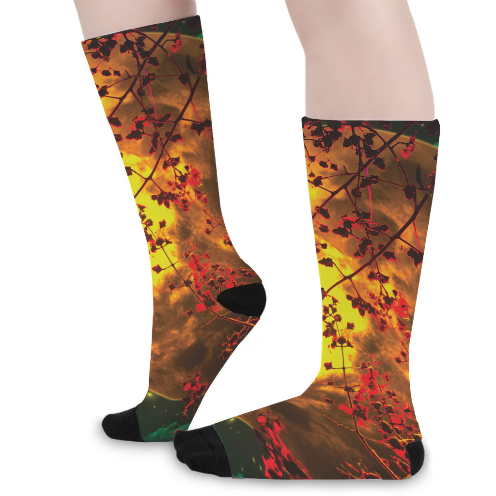 Yellow Full Moon Print Long Socks