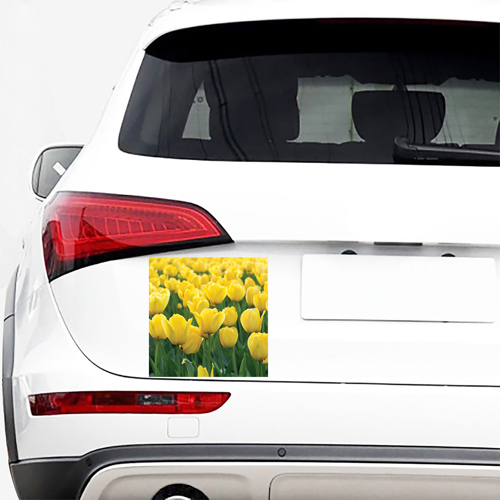 Yellow Tulip Print Car Sticker