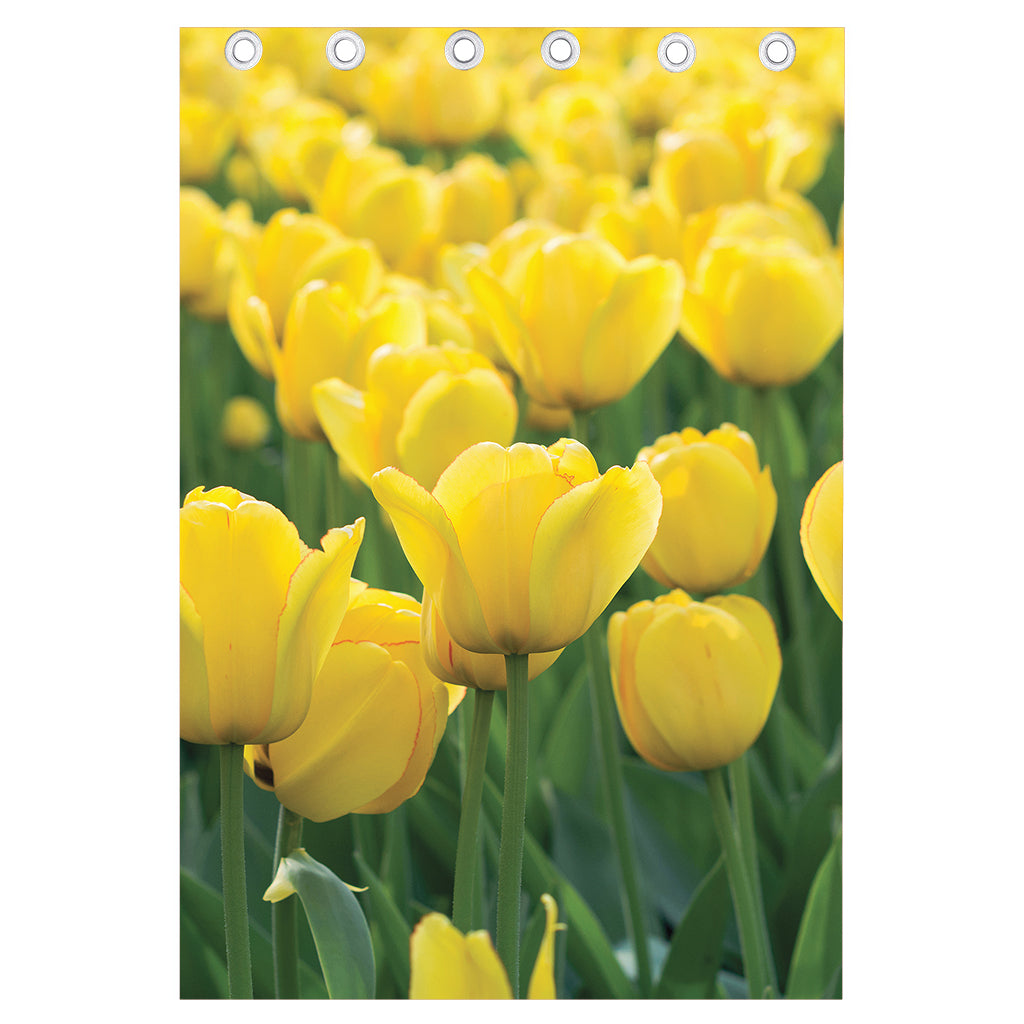 Yellow Tulip Print Curtain