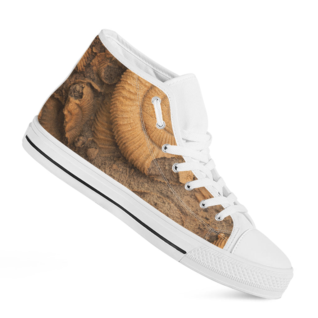 Ammonite Shell Fossil Print White High Top Shoes