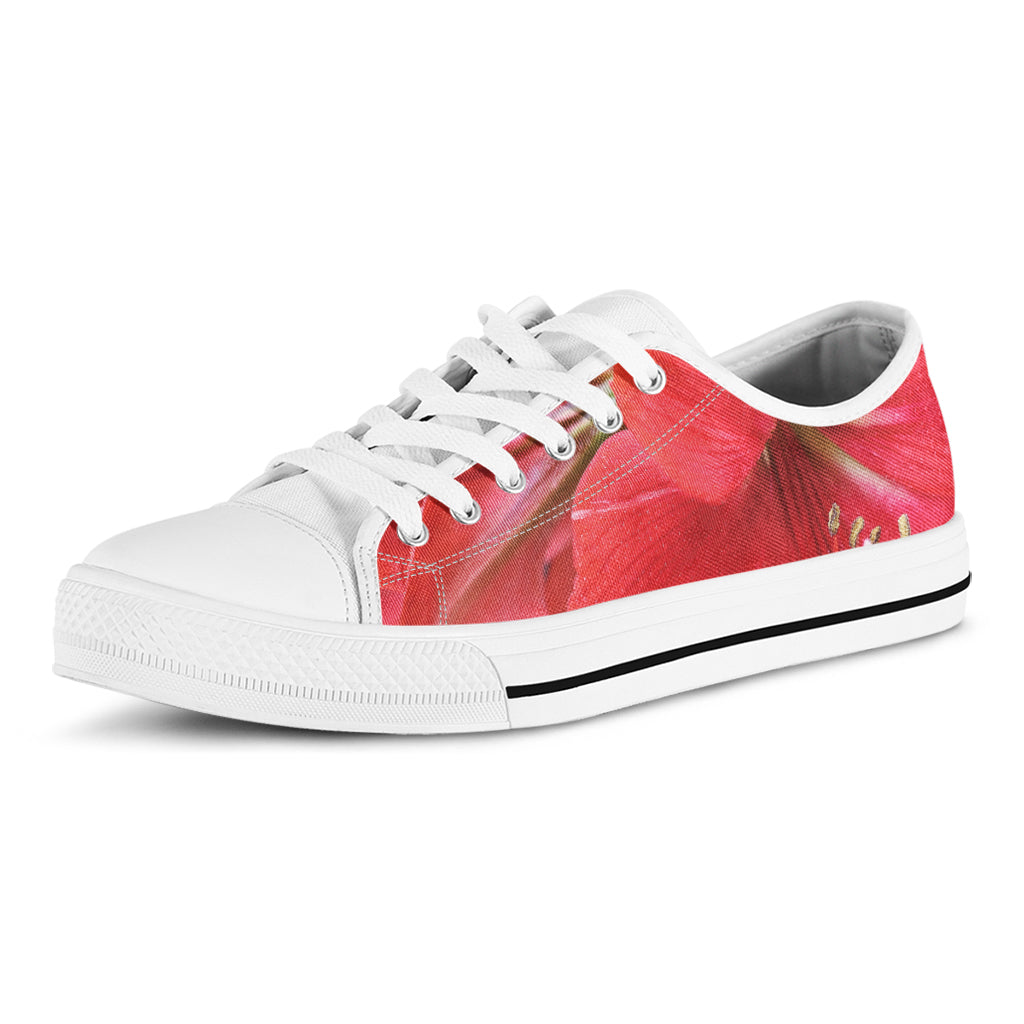 Blooming Amaryllis Print White Low Top Shoes