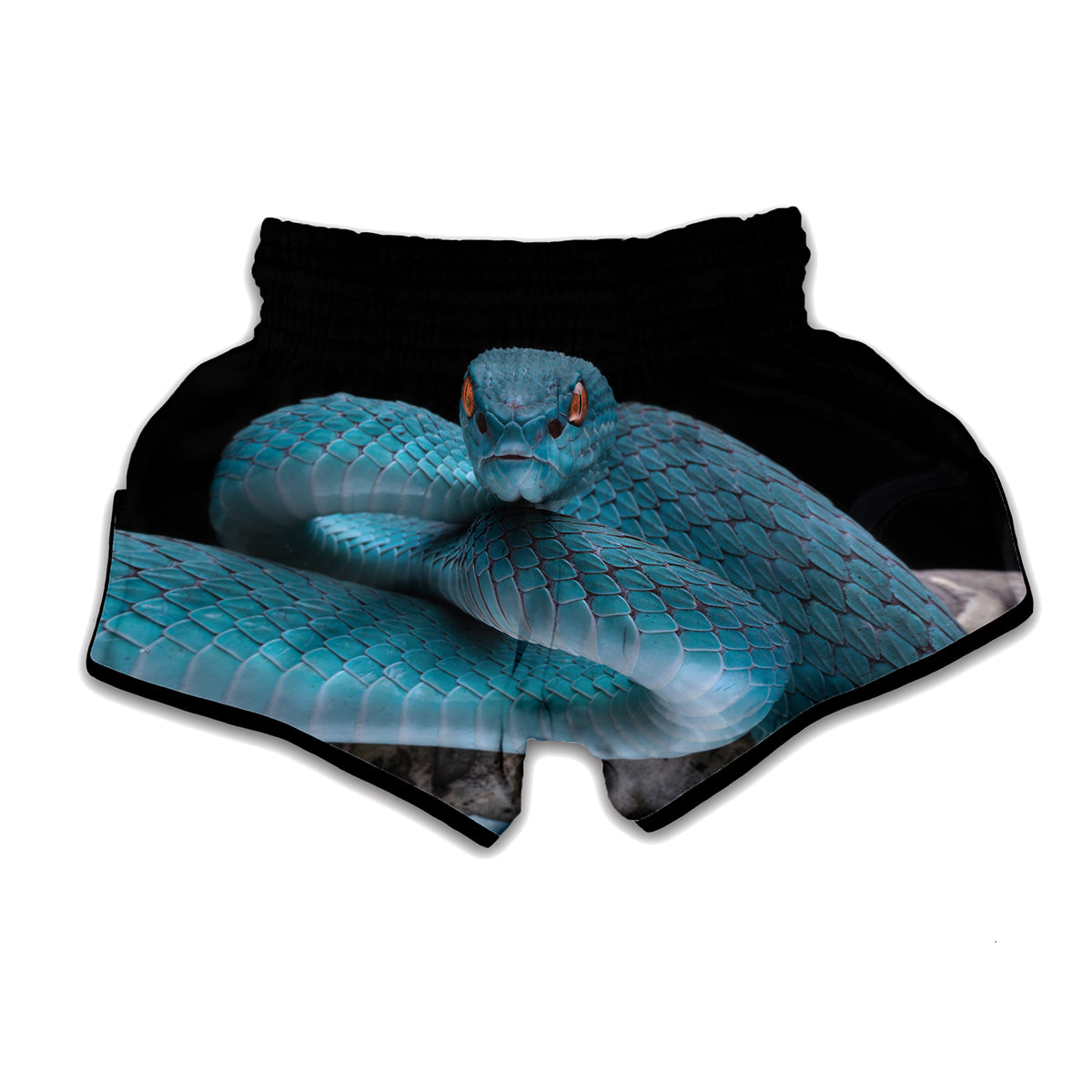 Blue Pit Viper Snake Print Muay Thai Boxing Shorts