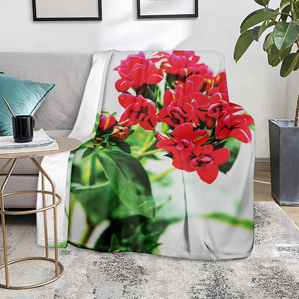 Bouvardia Plant Print Blanket