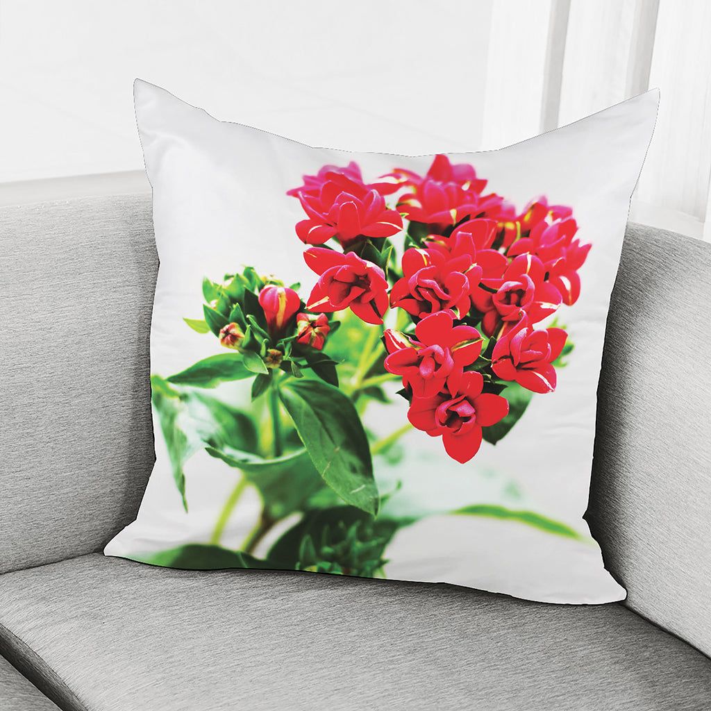 Bouvardia Plant Print Pillow Cover