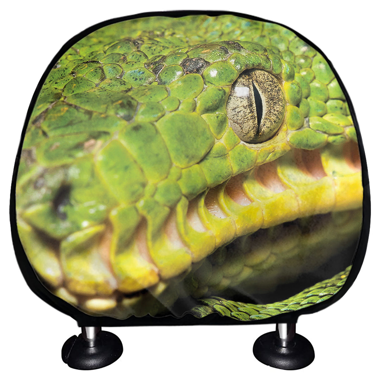 Emerald Tree Boa Snake Print Car Headrest Covers