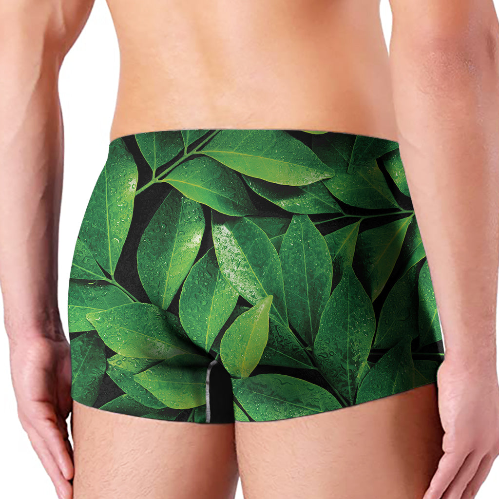 Fresh Green Leaf Print Men's Boxer Briefs