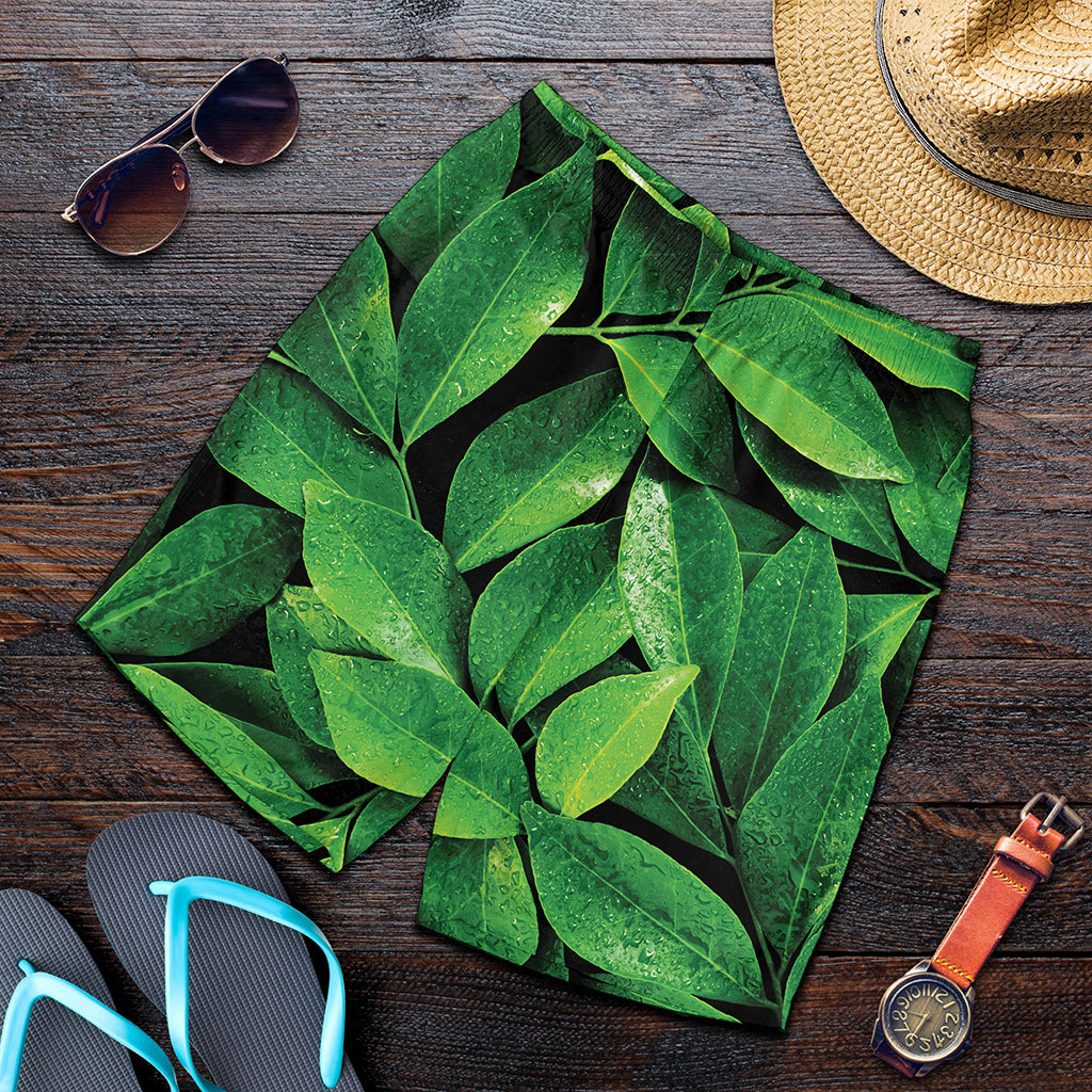 Fresh Green Leaf Print Men's Shorts