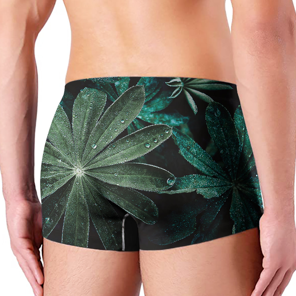 Fresh Tropical Leaf Print Men's Boxer Briefs