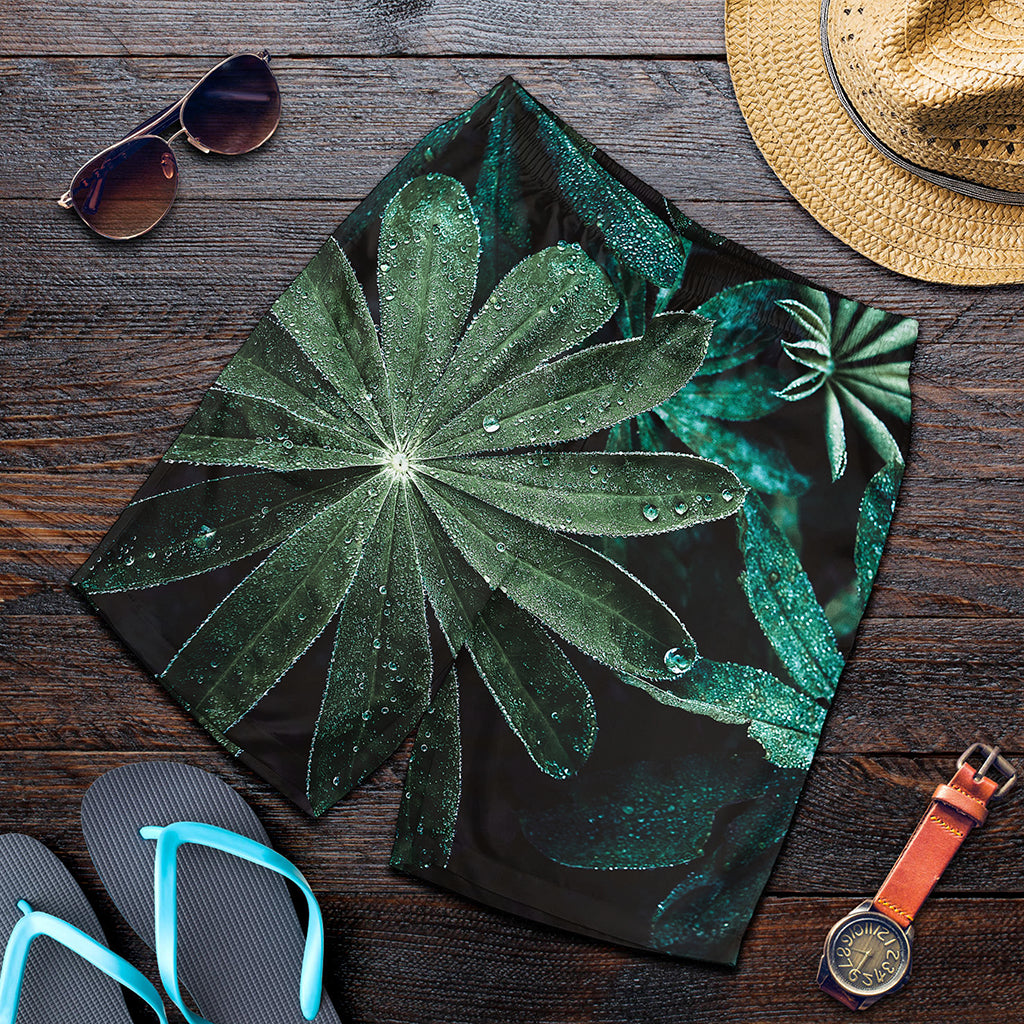 Fresh Tropical Leaf Print Men's Shorts