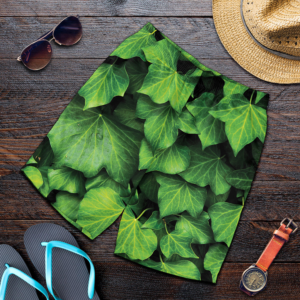 Green Ivy Leaf Print Men's Shorts
