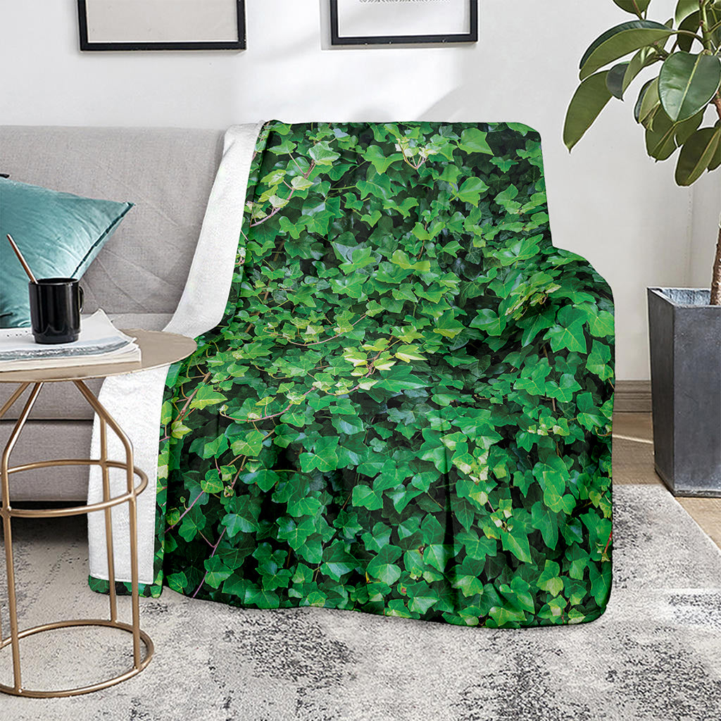 Green Ivy Wall Print Blanket