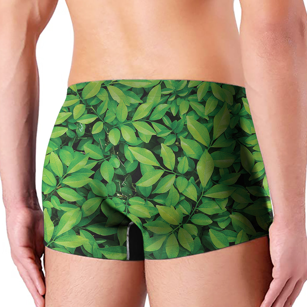 Green Leaf Print Men's Boxer Briefs