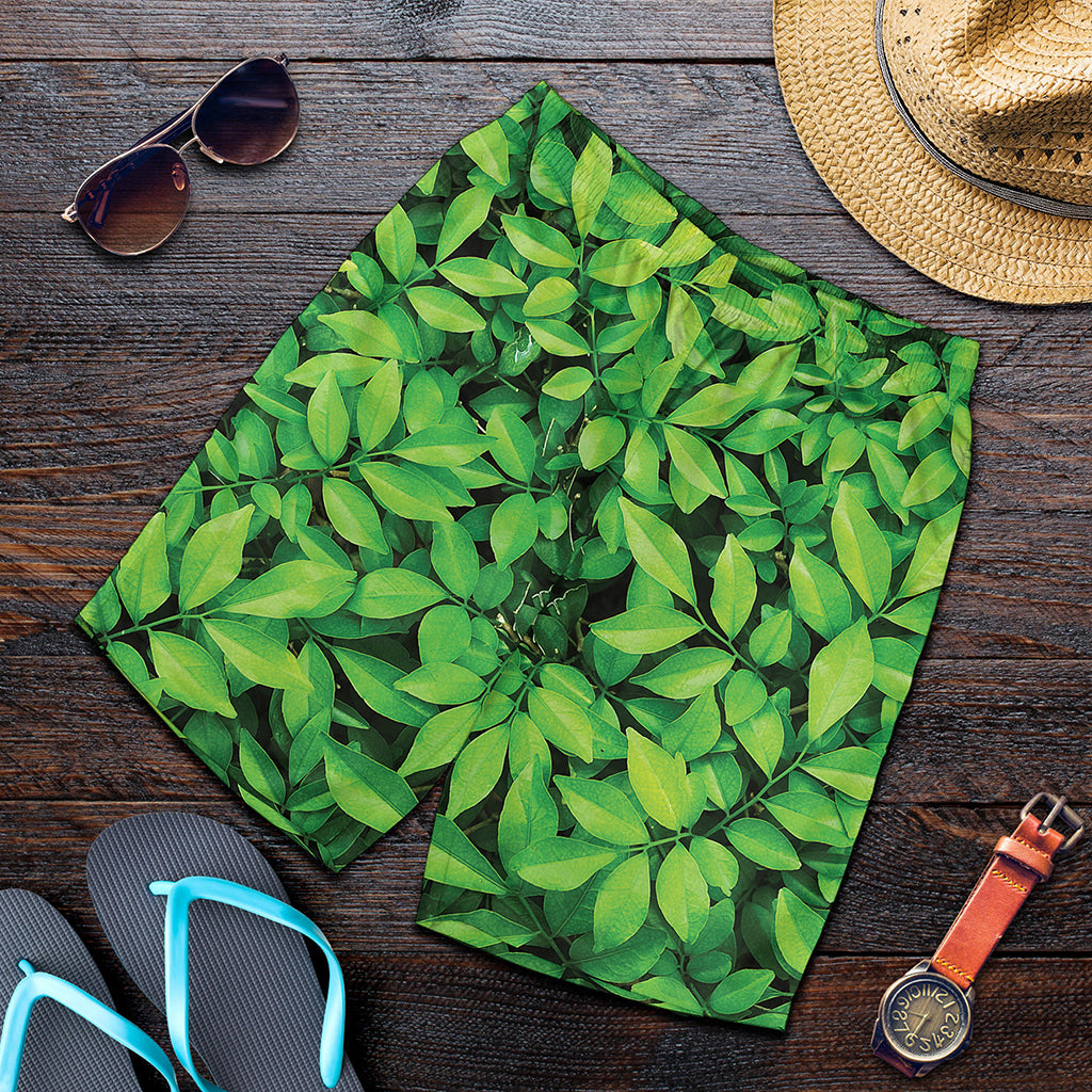 Green Leaf Print Men's Shorts