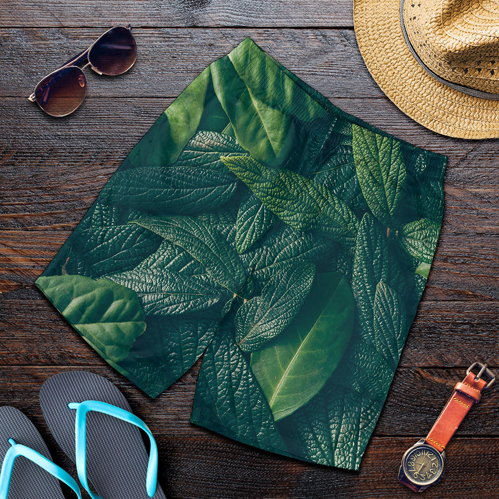 Green Leaves Print Men's Shorts