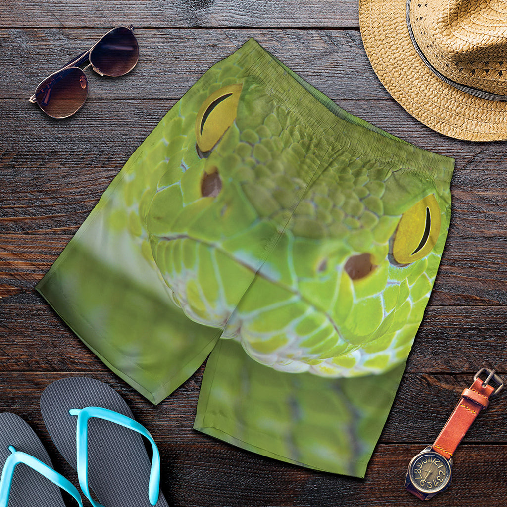 Green Pit Viper Print Men's Shorts