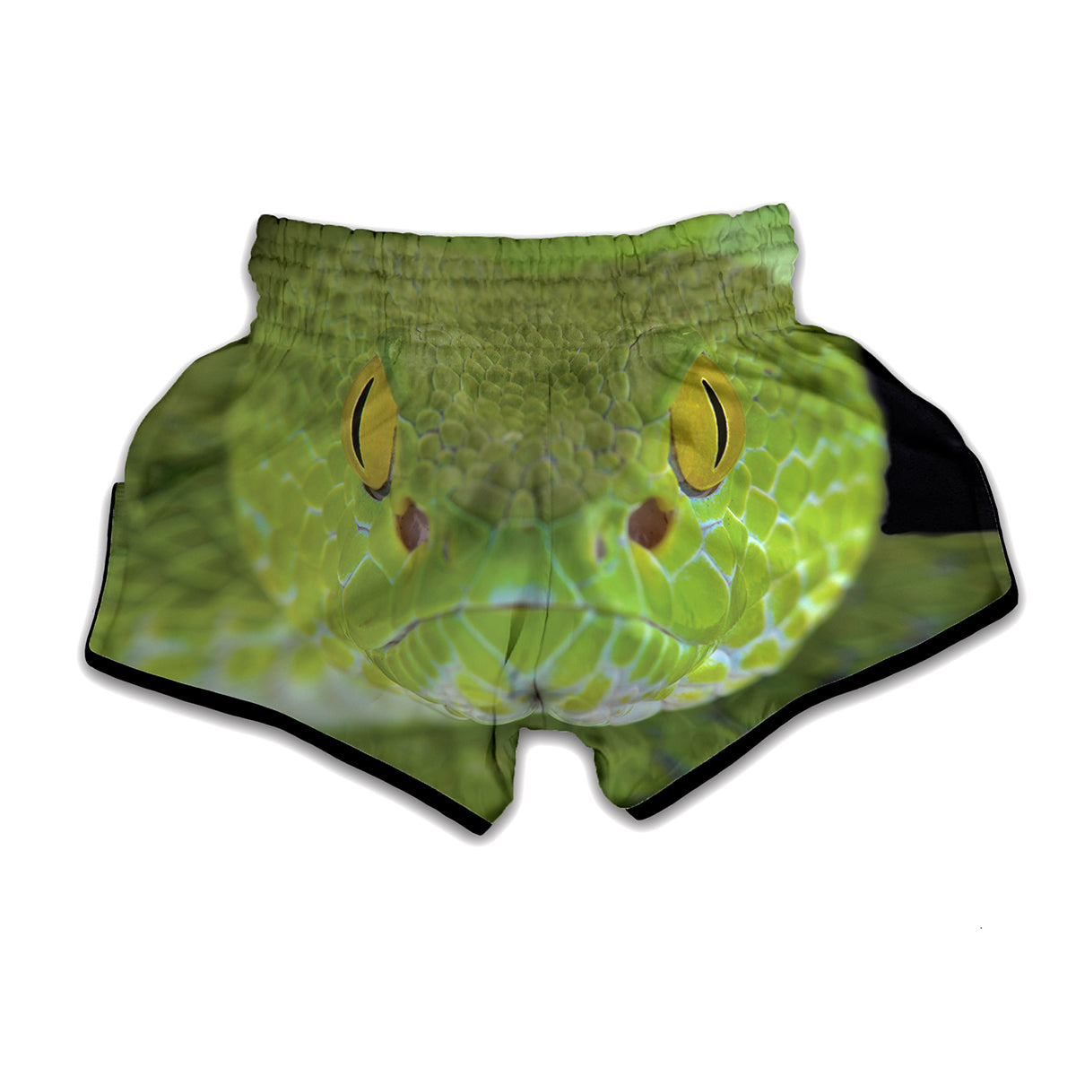 Green Pit Viper Print Muay Thai Boxing Shorts