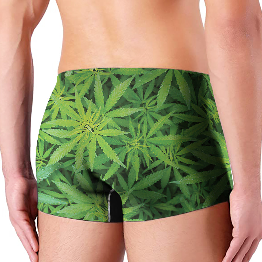 Green Pot Leaf Print Men's Boxer Briefs