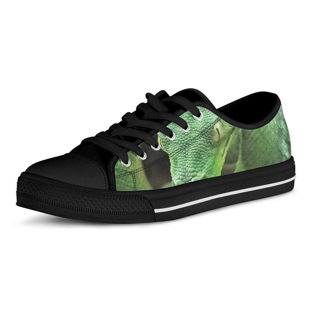 Green Reticulated Python Snake Print Black Low Top Shoes