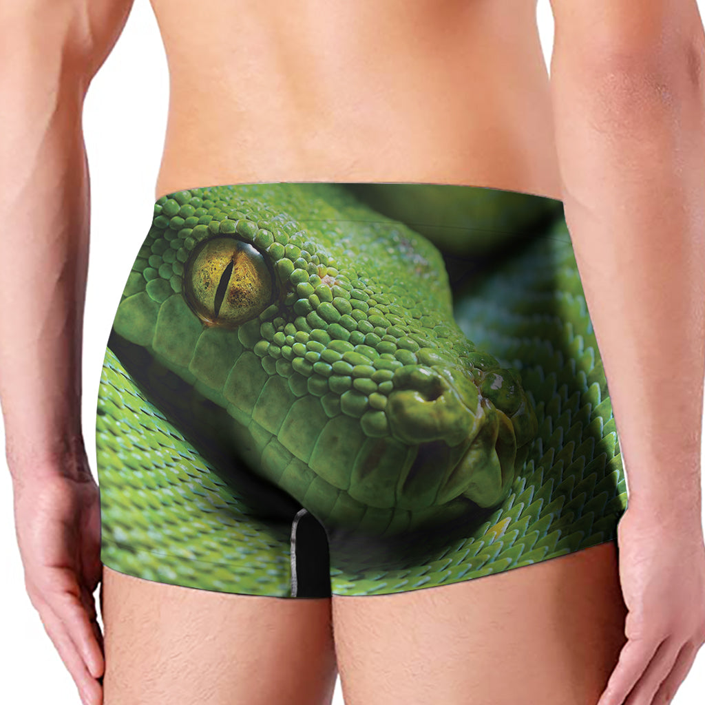 Green Tree Python Snake Print Men's Boxer Briefs