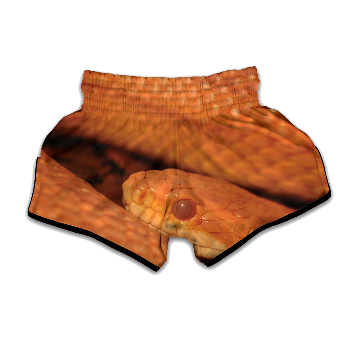 Orange Snake Print Muay Thai Boxing Shorts