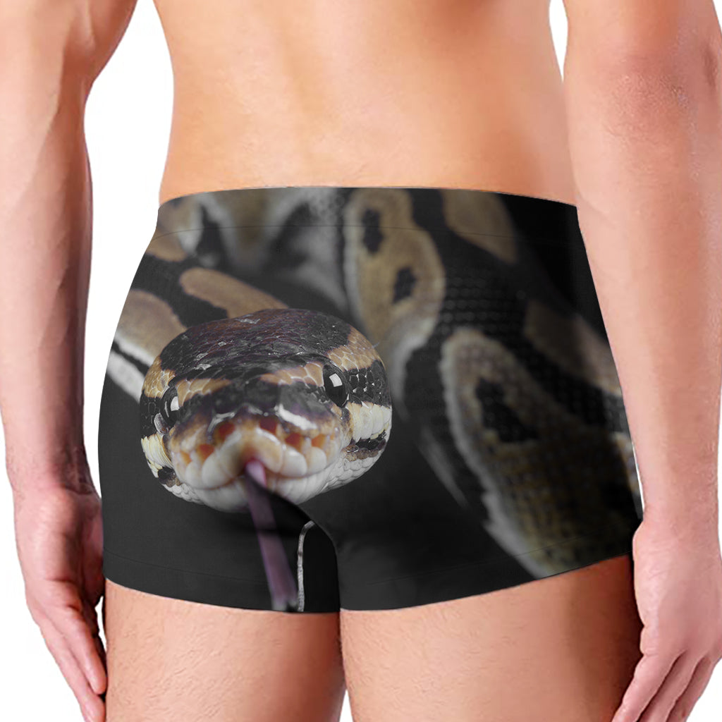 Python Snake Print Men's Boxer Briefs