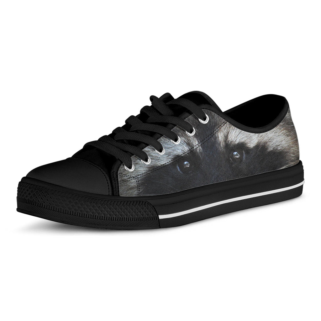 Raccoon Portrait Print Black Low Top Shoes