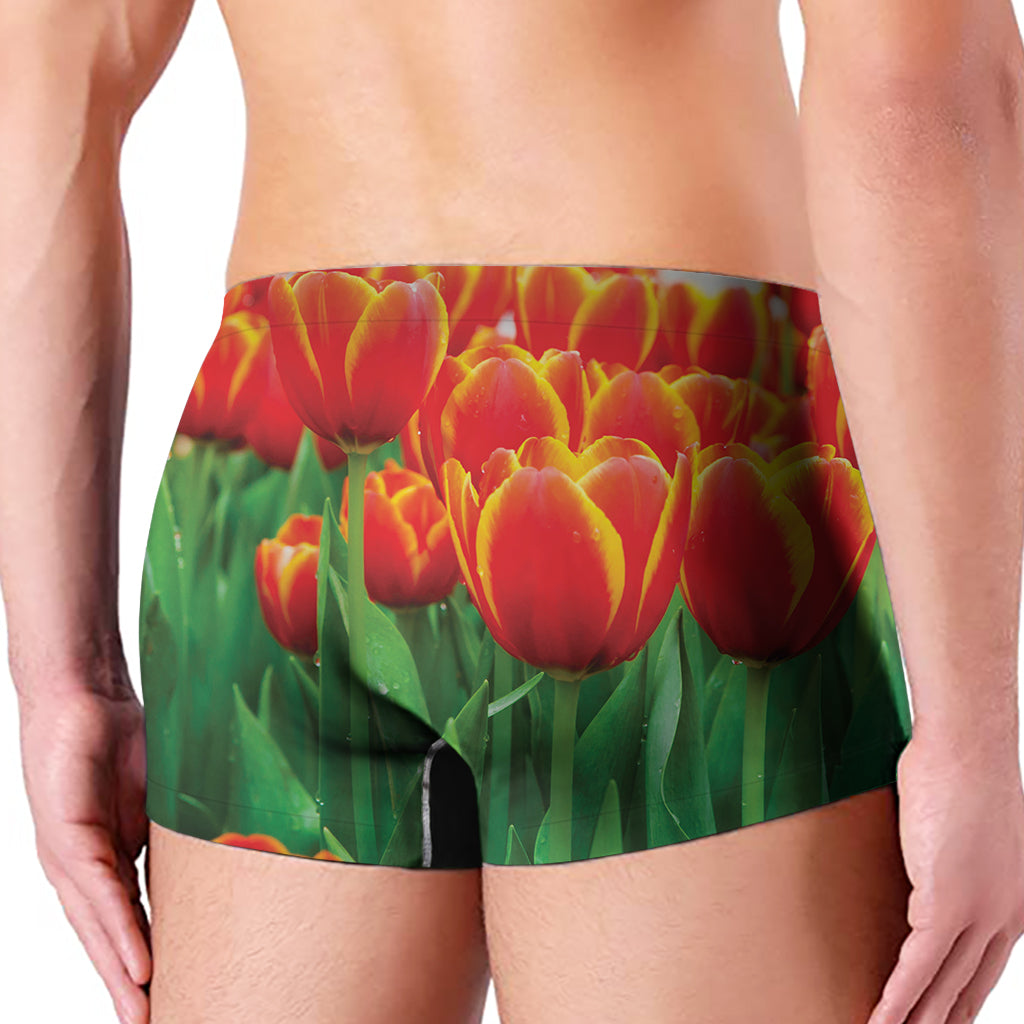 Red And Yellow Tulip Print Men's Boxer Briefs