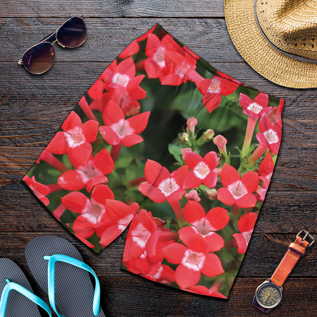 Red Bouvardia Print Men's Shorts