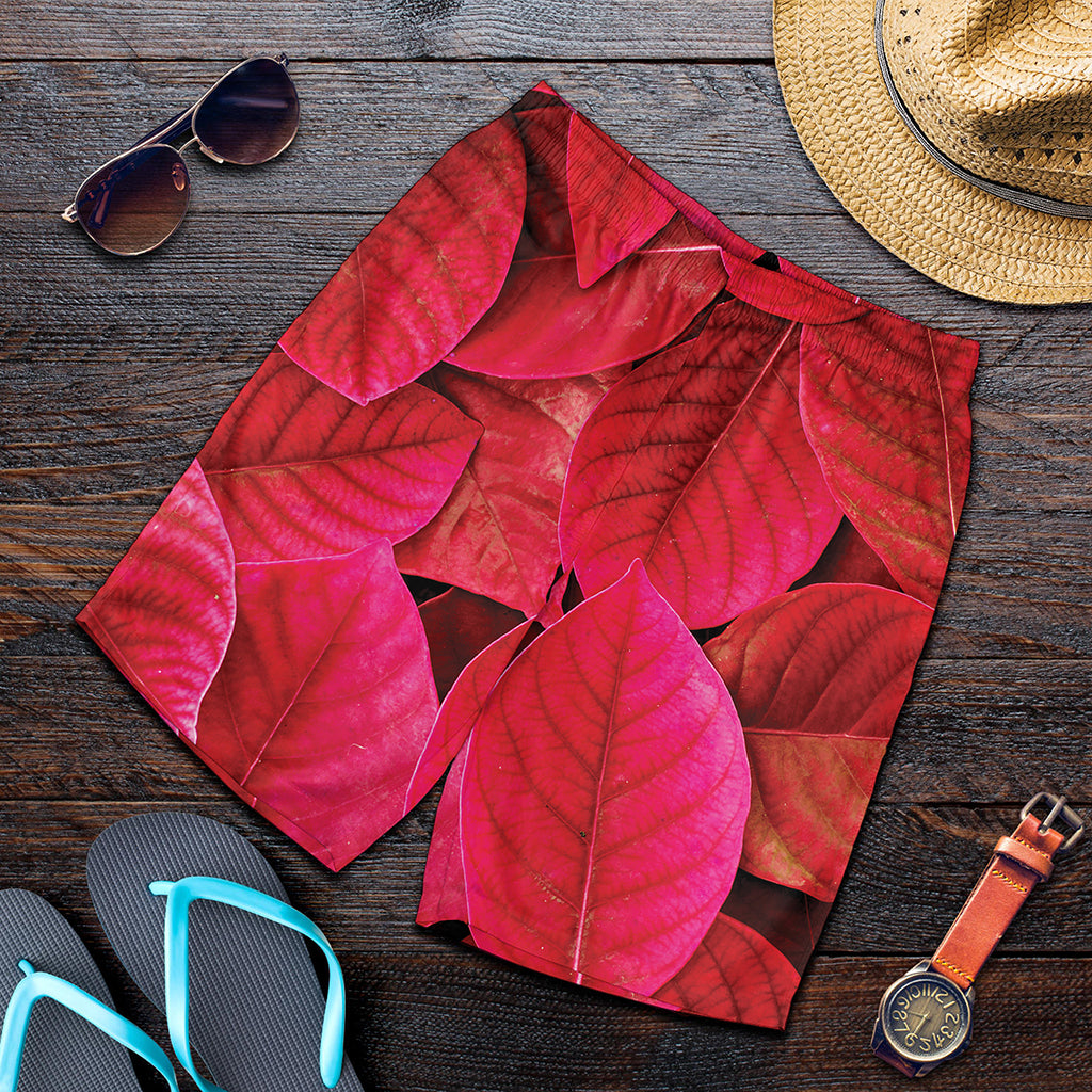 Red Leaf Print Men's Shorts