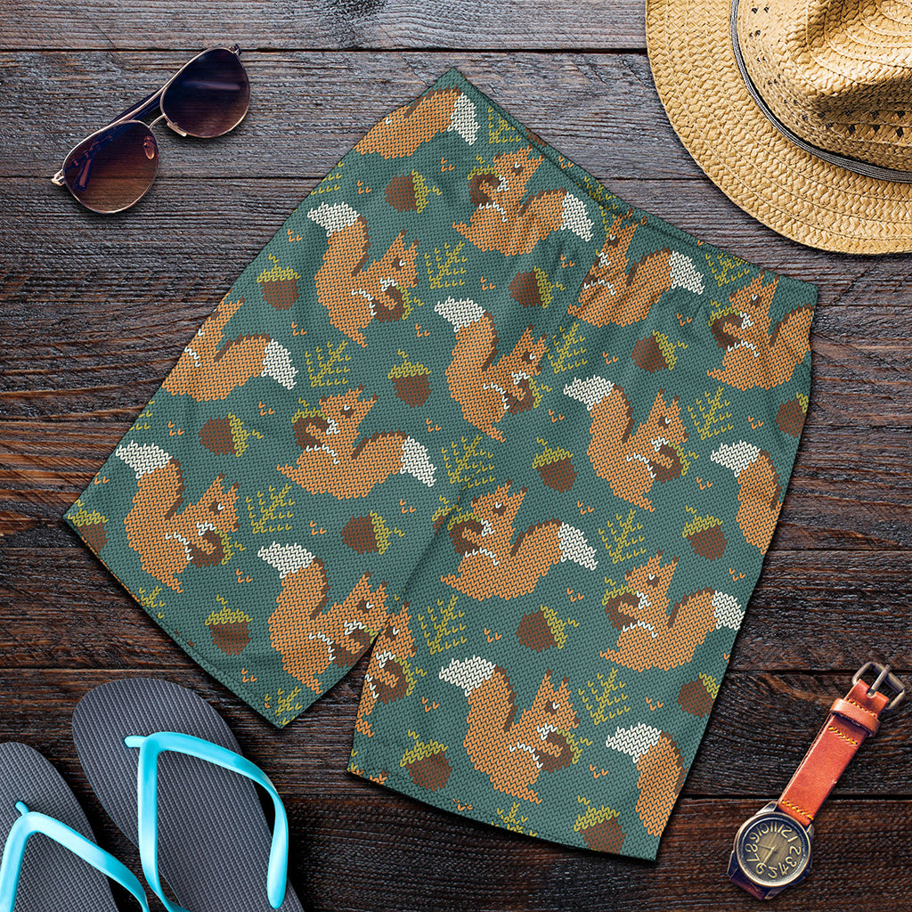Squirrel Knitted Pattern Print Men's Shorts