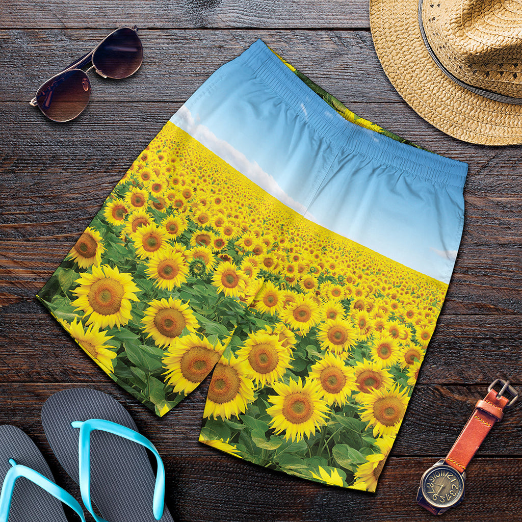 Sunflower Field Print Men's Shorts