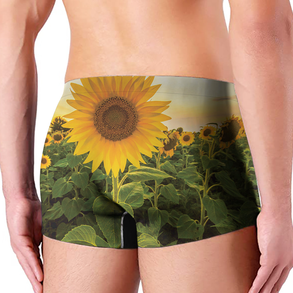Sunflower Landscape Print Men's Boxer Briefs