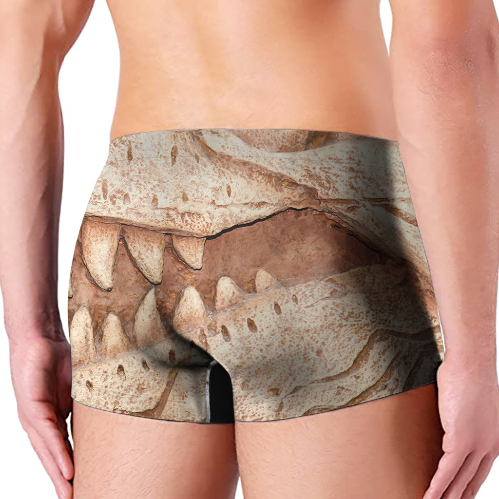T-Rex Fossil Print Men's Boxer Briefs