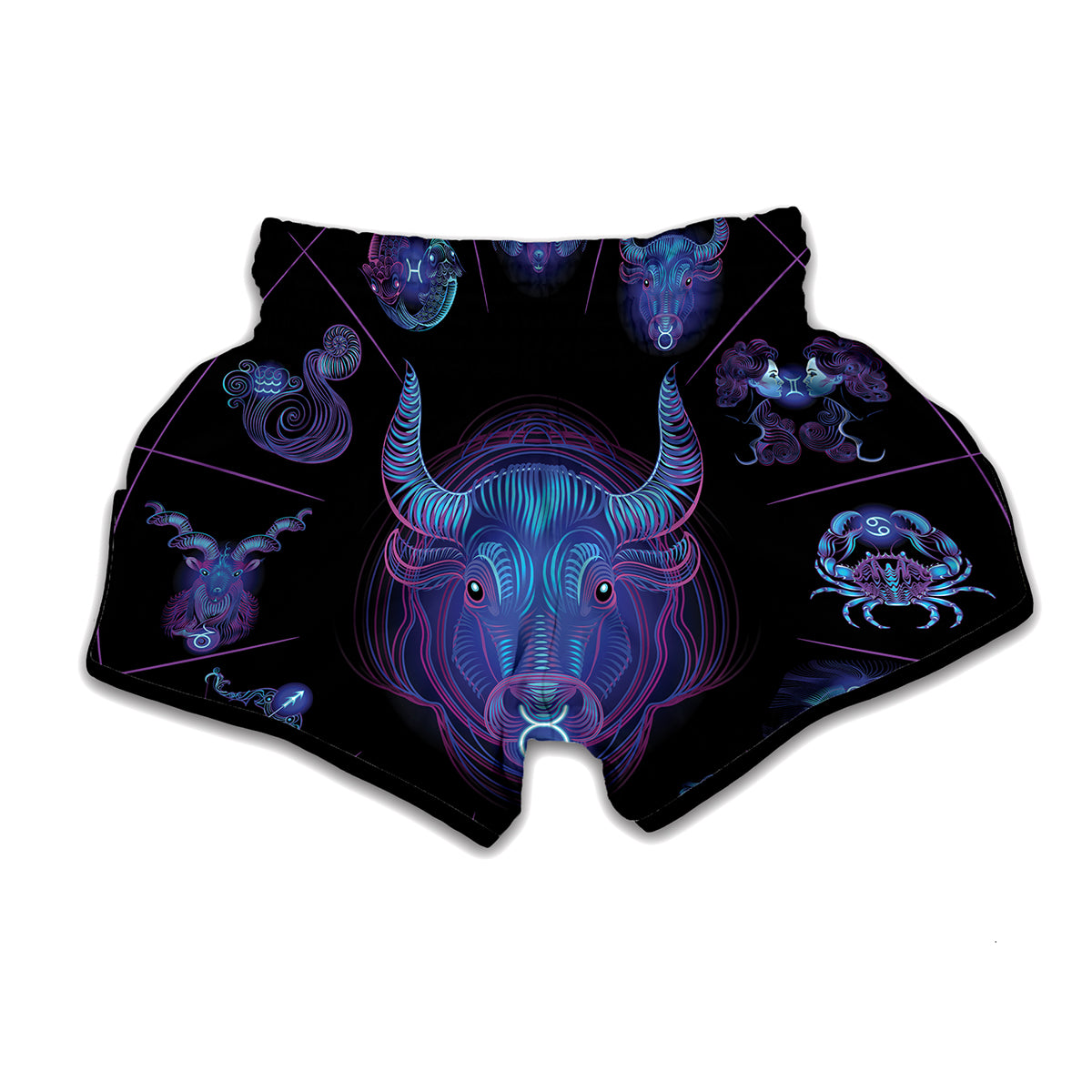 Zodiac Sign Watercolor Sagittarius Print Muay Thai Boxing Shorts