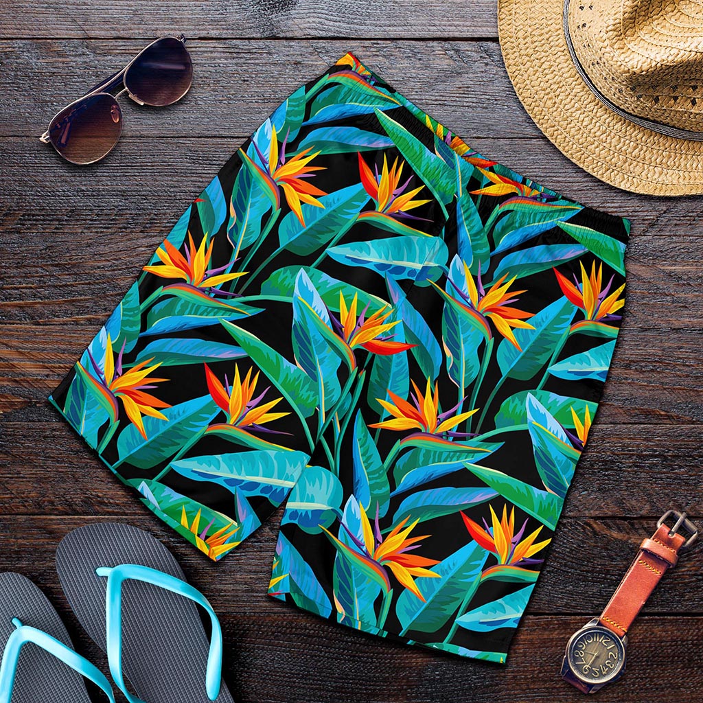 Teal Tropical Pattern Print Men's Shorts
