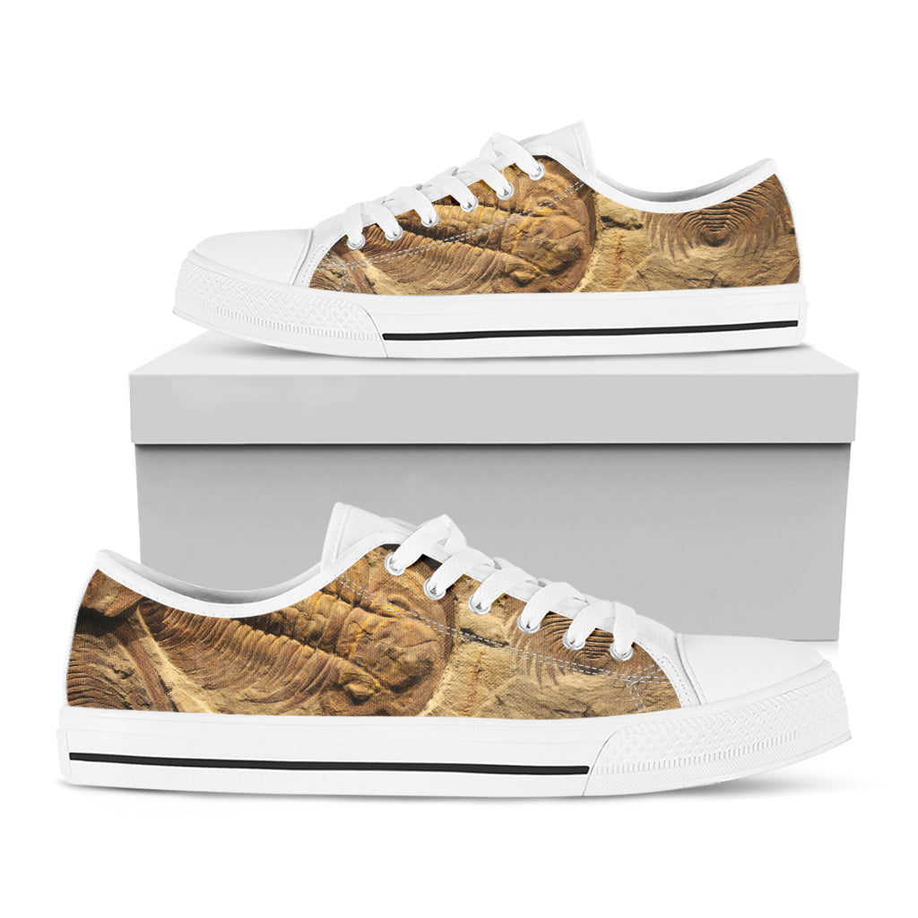 Trilobite Fossil Print White Low Top Shoes