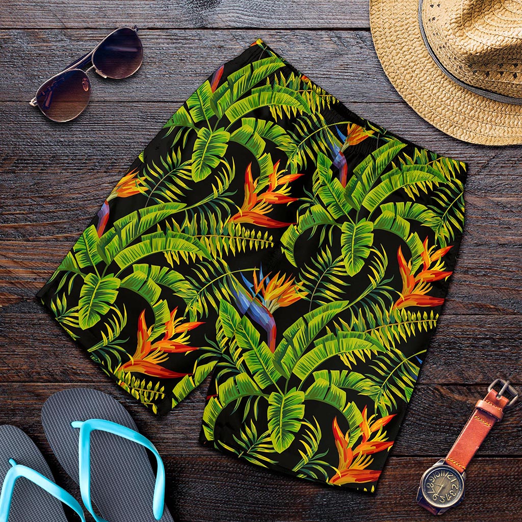 Tropical Summer Pattern Print Men's Shorts